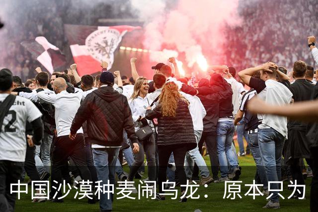 中国沙漠种麦闹乌龙：原本只为“保粮仓”增产，却意外发现金黄麦浪成治沙神器，彻底改变治沙思路？